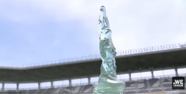 开云网页版-男女两开花!浦和男足亚洲冠军 浦和女足称霸全国